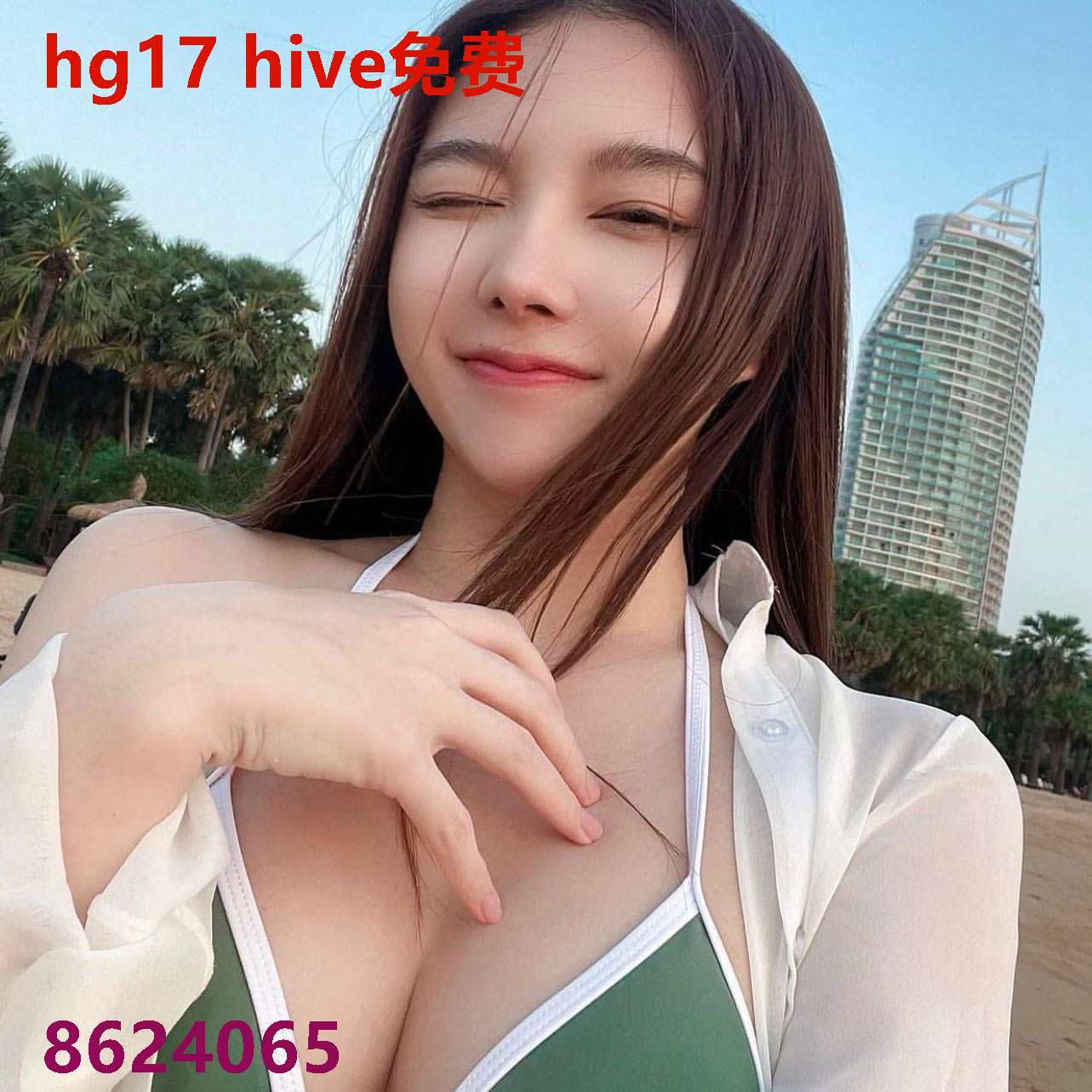hg17 hive免费